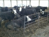 2011-04-27_13-15-17_14 2011-04-27_13-15-17_14
